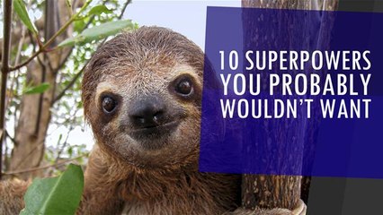 10 Superpowers You Probably Wouldn't Want