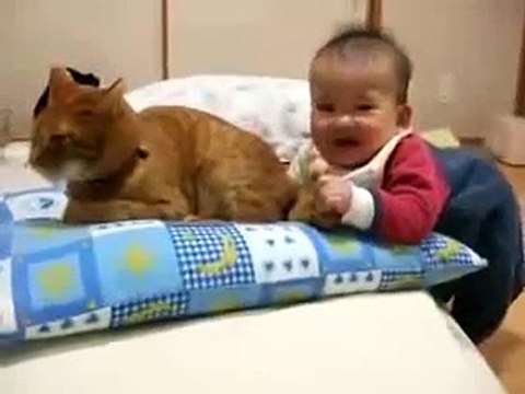funny video new 2013 clips 3 Baby bites cat’s tail _