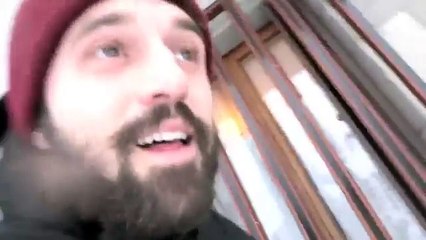 Why chihuahuas don't run on the snow