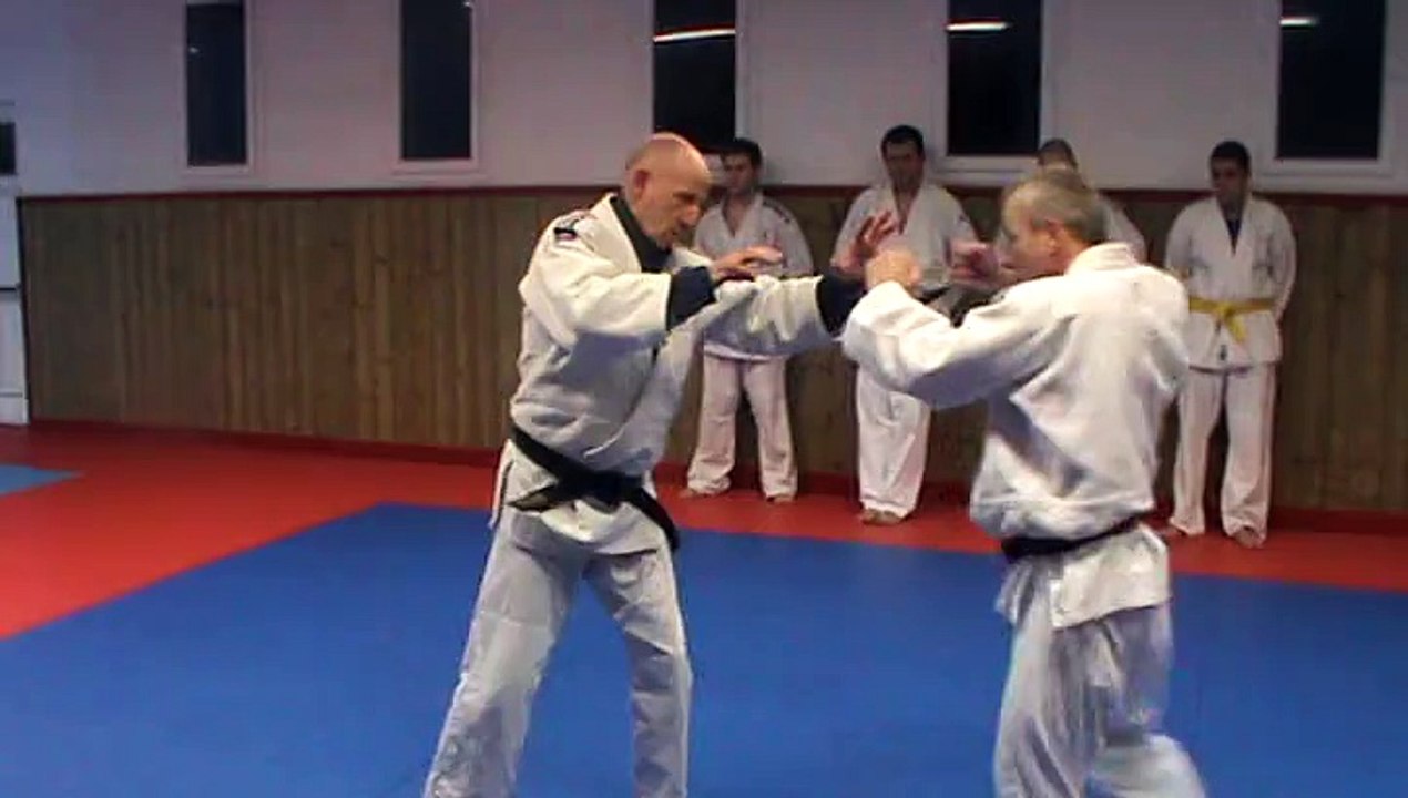 Jujitsu Rollin Philippe