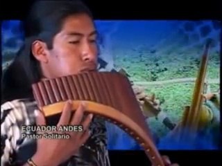 ECUADOR ANDES PASTOR SOLITARIO