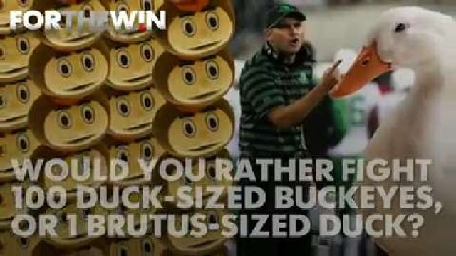Would you rather fight: Giant duck or 100 tiny Buckeyes?