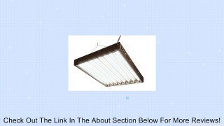 T5 Designer 4Ft 8 Tube Fixture w/Bulbs-FLP48 Review