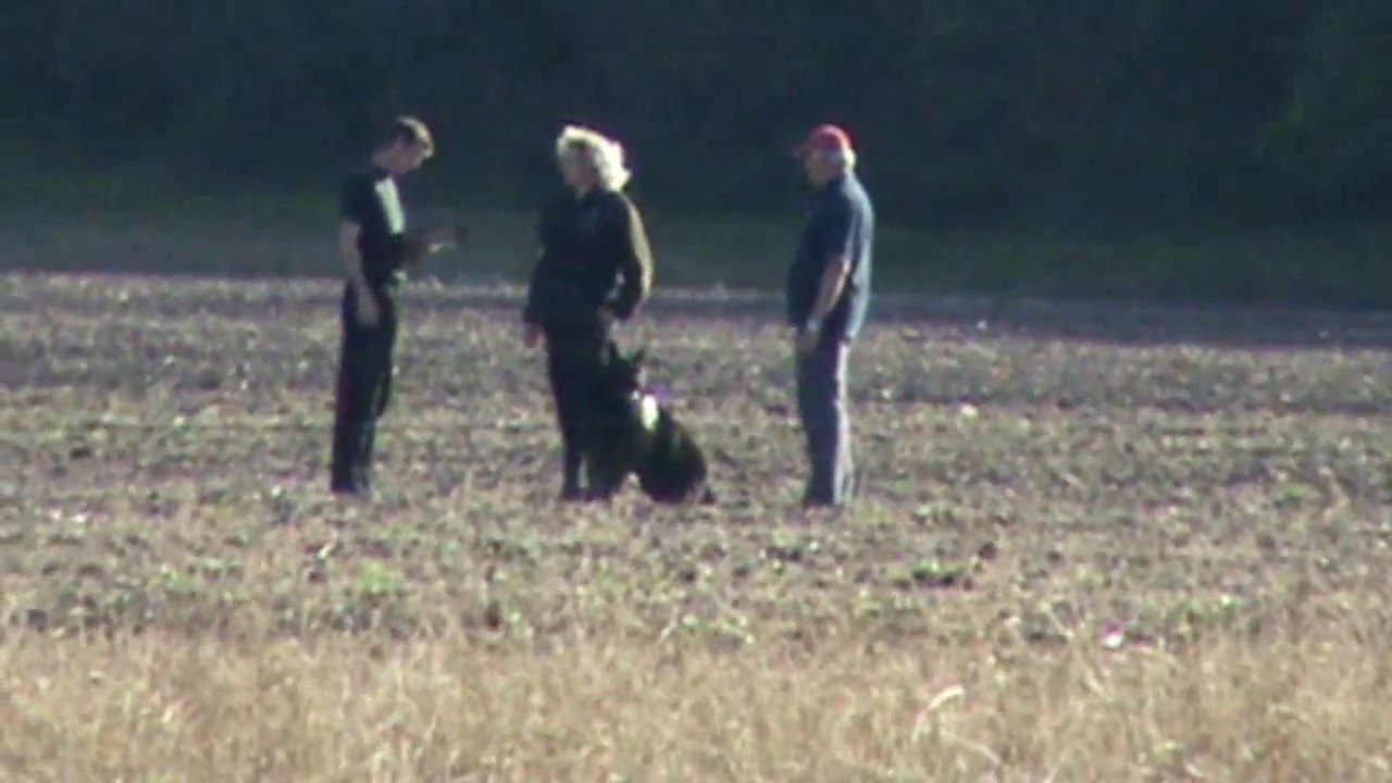 Seidl Regina & Nanu vom Friedrichfelder Eck @ 1.FCI-WM Quali 2015 Fährte / Track