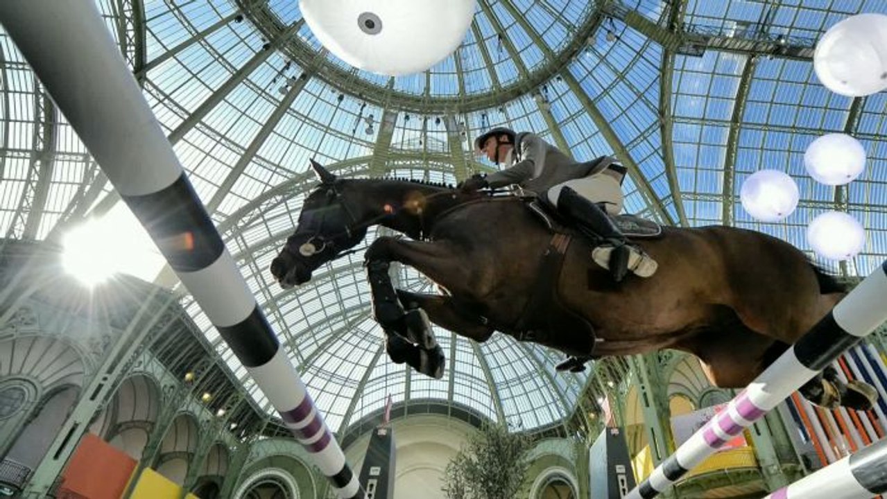 TOUS SPORTS : L'année 2014 en 80 photos