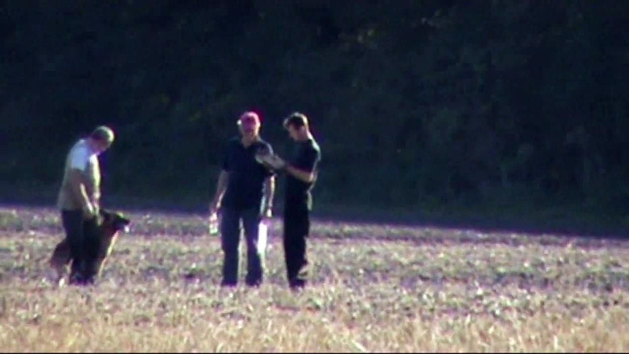 Netroufal & Aesh vom Causa Nostre Letitia @ 1.FCI-WM Quali 2015 - Fährte/Track