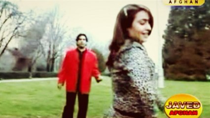 Javed Maroof, Tajik Jenai - Char Gul Da Jenai Wrak Da