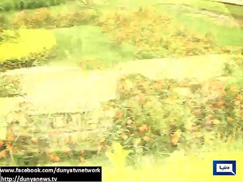 Dunya News-MET Dept forecasts rain in various cities