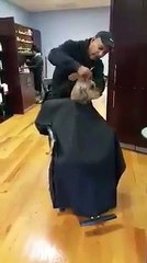 Dog Behaves Well Getting A Hair Cut