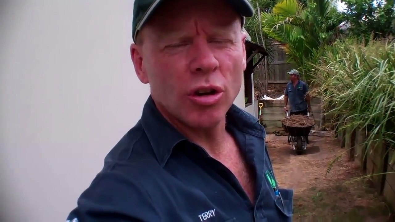 Sunshine Coast Lawn Weed Problems and How To Fix