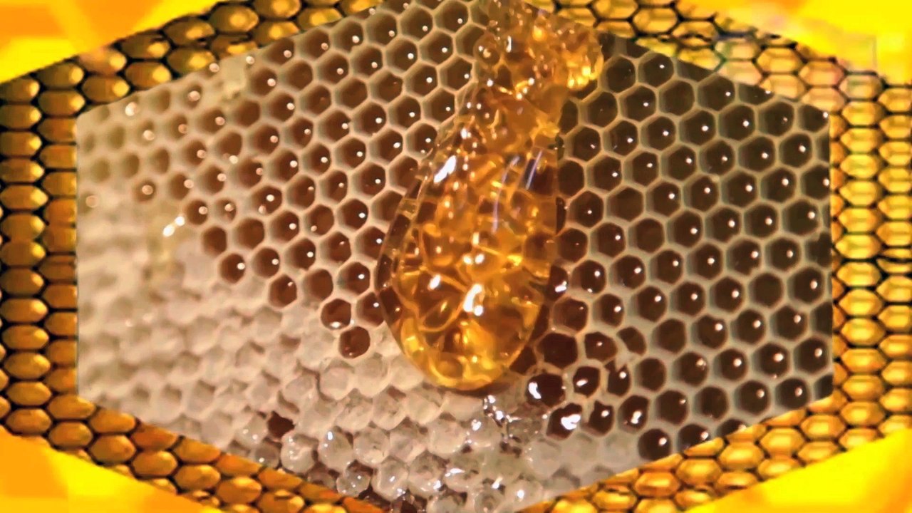 Islamic Honey
