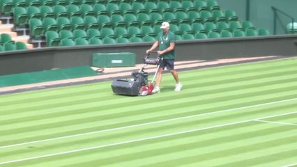 TENNIS - WIMBLEDON : Garden party so british