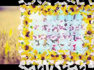 Ho Can I Tell you Why I love You