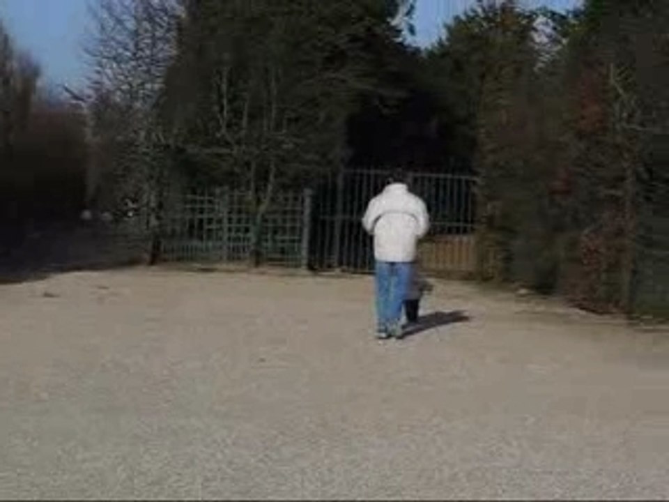 Tao à Versailles !!!