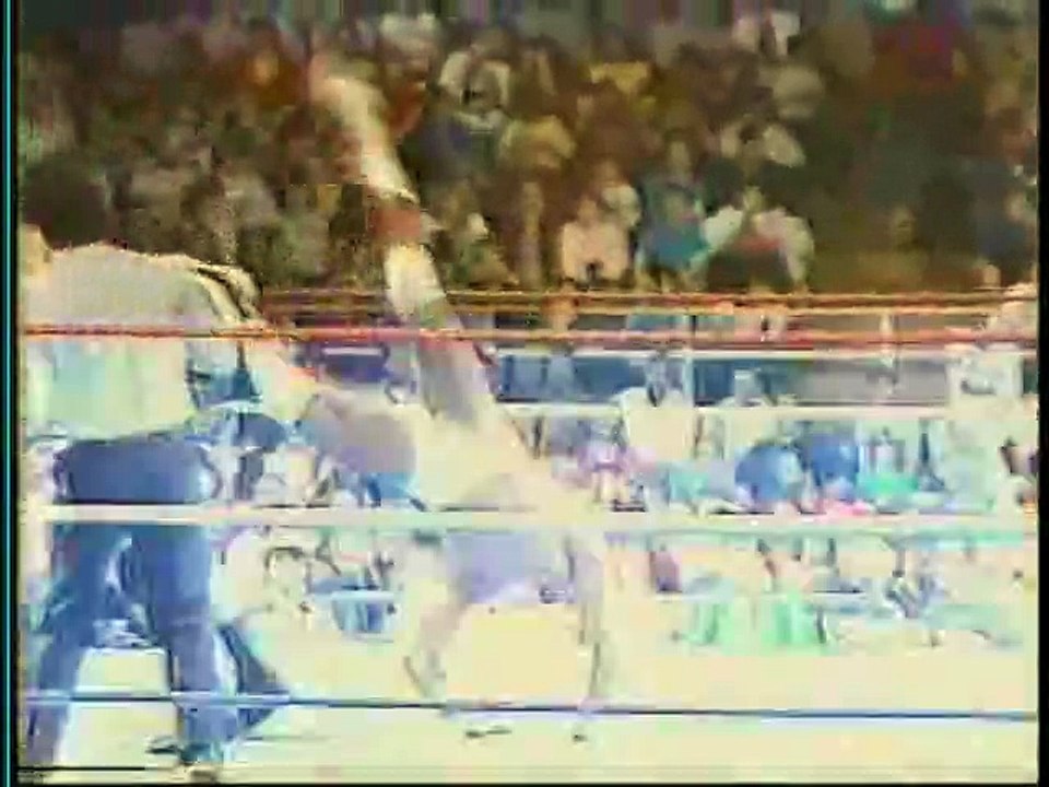 WWF Superstars 1987-03-28