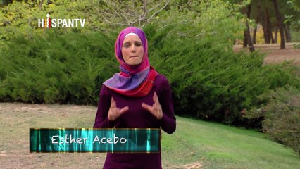 Al Natural - Infusión de Zarzaparrilla, leches vegetales, batido de Cacao y serum para poros dilatados