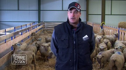 TDP2-EPISODE9-Bien s'organiser, bien s'équiper