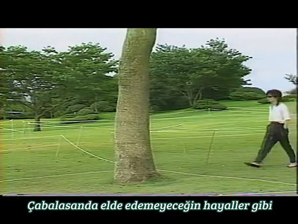 THE ALFEE -Bridged to the Sun- Sunset Sunrise 1987 AUG 8-9 Türkçe altyazılı