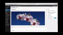 Using the WordPress Media Library - What is Media Library in Wordpress - WP Tutorials by WpMags
