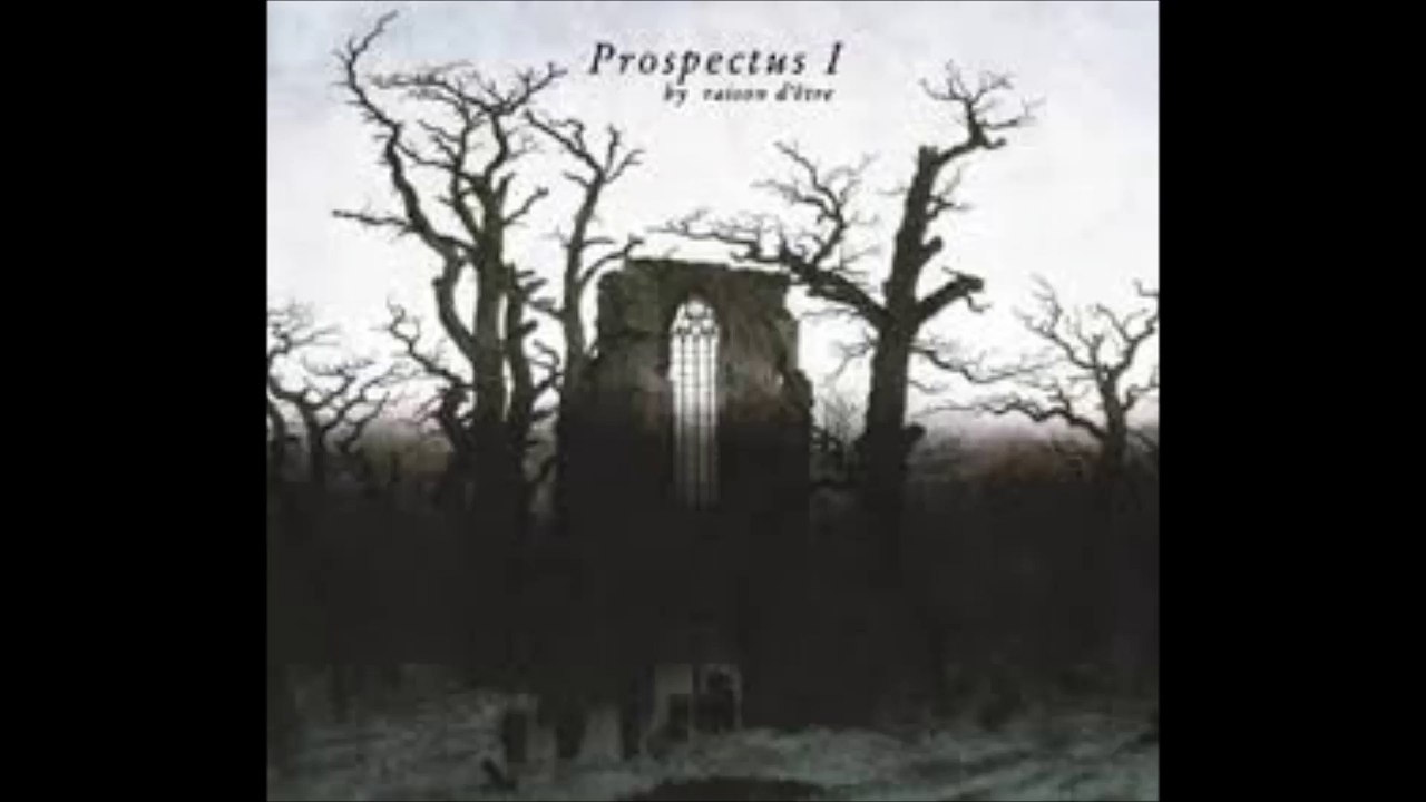 Raison D'Etre - Synopsis