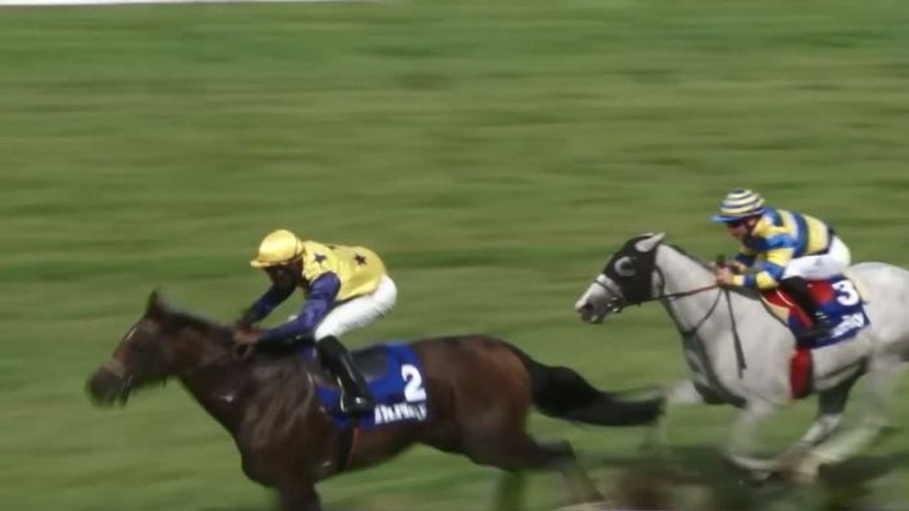 HIPPISME - Qatar Arc Trial : journée des parieurs