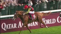 HIPPISME - Qatar Prix Arc de Triomphe : les chevaux japonais