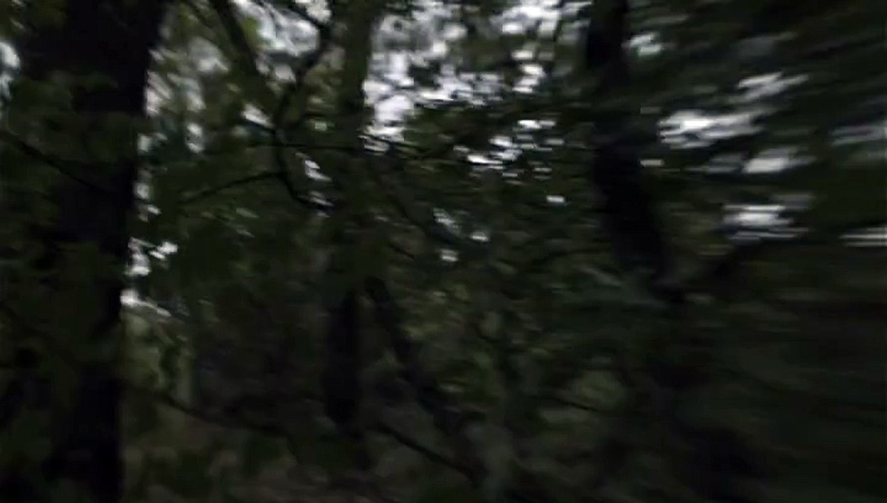 Armée de Terre - recrutement militaire - février 2010 - "Devenez vous-même", Patrouille