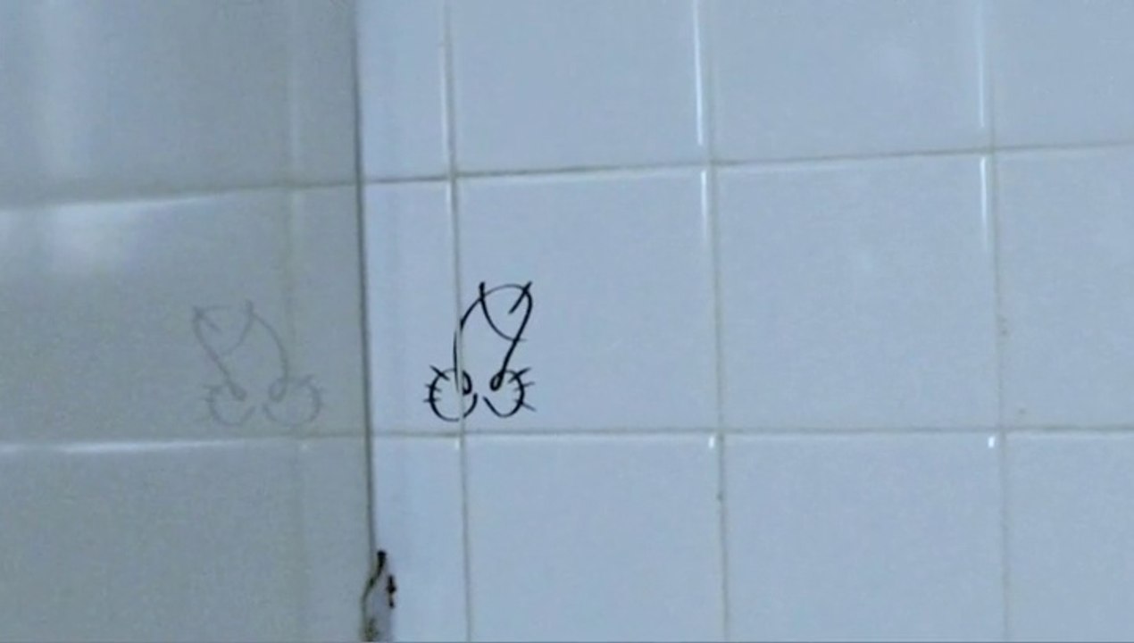 AIDES - lutte contre le Sida - janvier 2010 - "Graffiti"