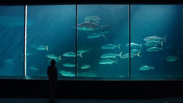 BETC Paris pour Peugeot - voiture Peugeot 308 SW, Design & driving - avril 2014