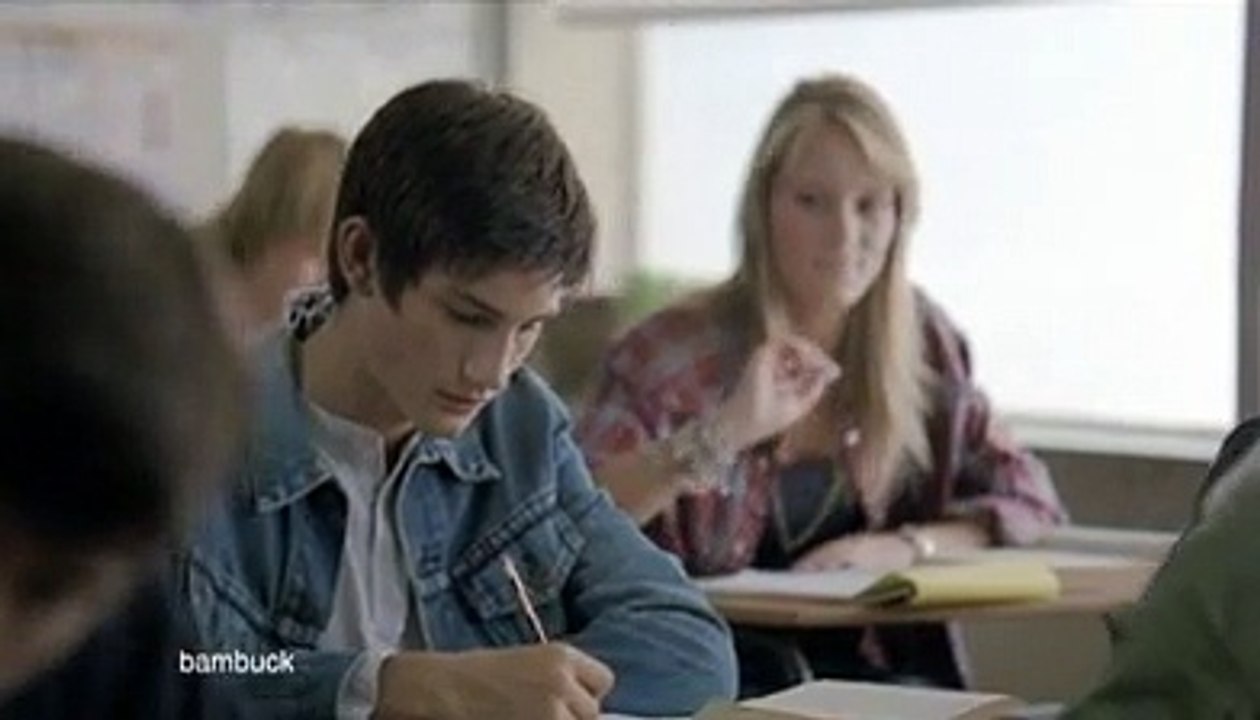 Biogaran - laboratoire pharmaceutique de médicaments génériques - mai 2010 - "Pictogrammes"