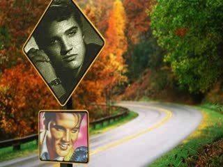 Elvis presley  DIAPORAMA  REMIX