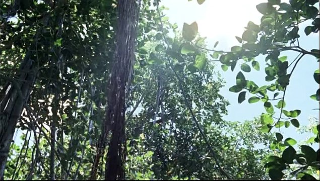 Bourjois - produits cosmétiques Ecoute Ta Nature by Yannick Noah - mars 2010 - Le coeur qui bat