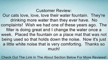 Pioneer Pet Big Max Ceramic Drinking Fountain for Pets, White Review