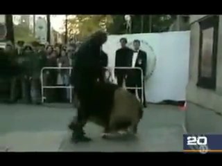 OMG !! Lion Attacks on Master