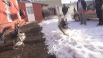 Kars Muhtar, Köye Gelen Kaymakama Tandırda Kaz İkram Etti
