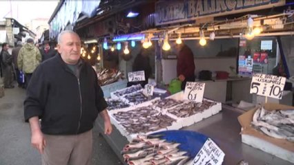 Hamsi Üzüyor, Palamut ve İstavrit Yüz Güldürüyor
