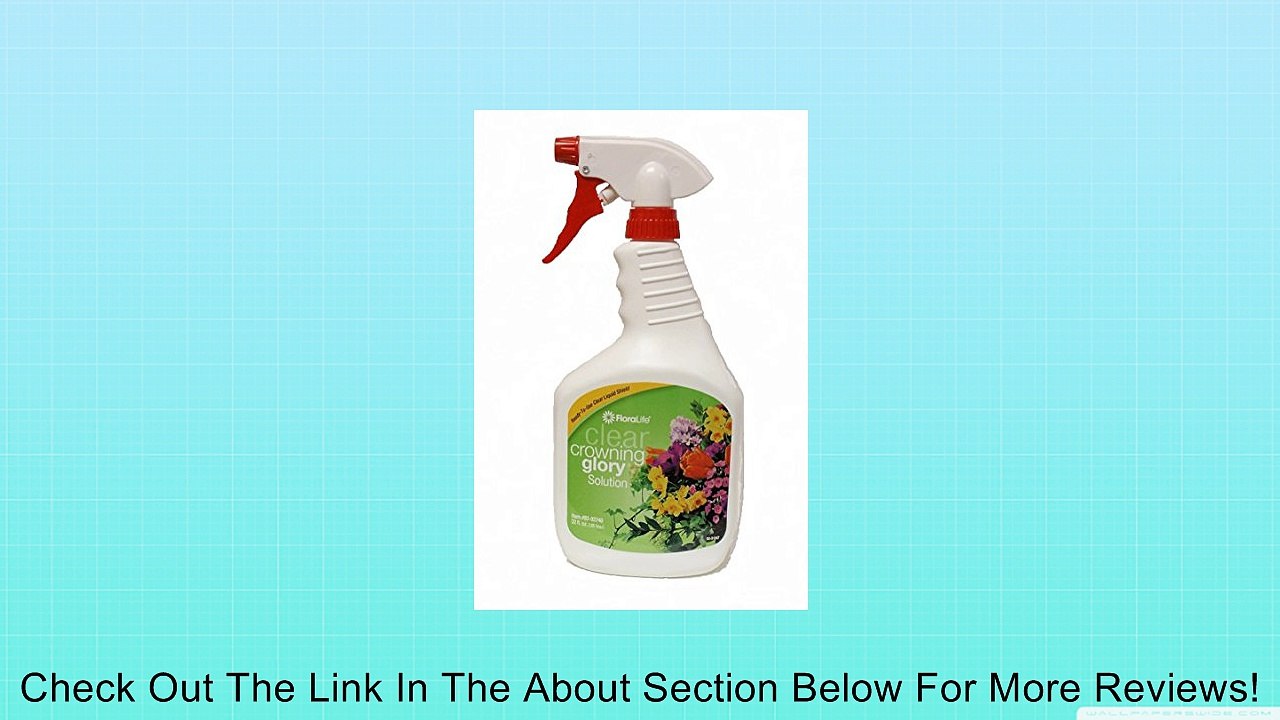 Crowning Glory Flower Spray 32 Fl. Oz Review video Dailymotion