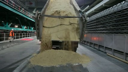 TENNIS - C.DAVIS - La transformation du Stade Pierre-Mauroy