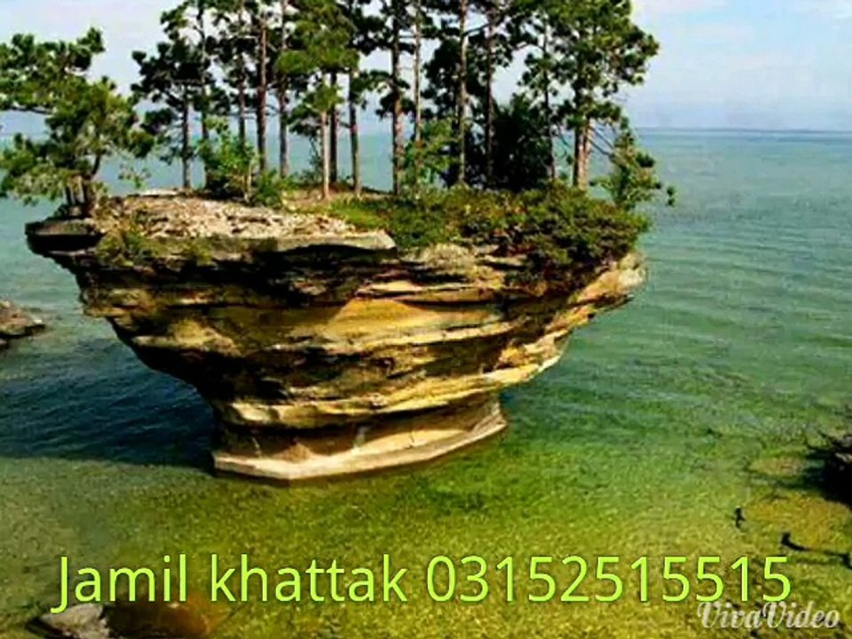 jamilkhattak2515515
