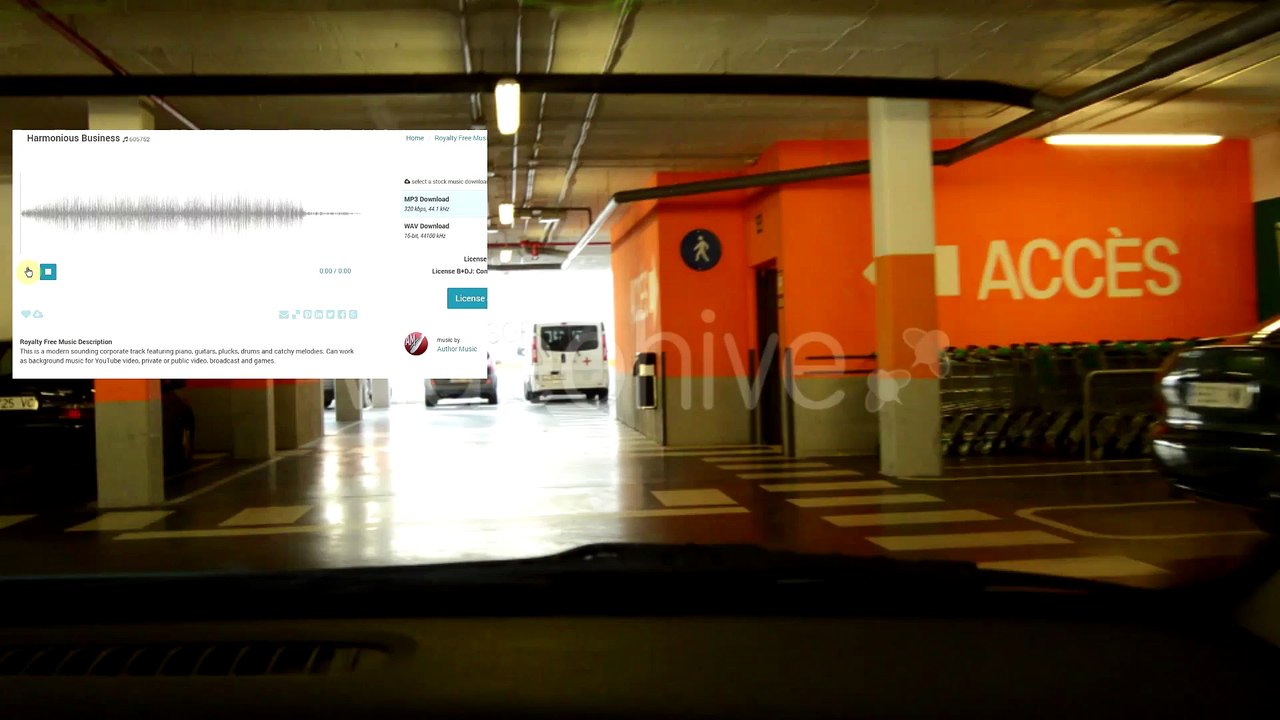 Harmonious Business: AuthorMusic - Music and Video #12