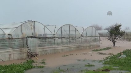 Kuvvetli Yağış ve Fırtına Tarım Alanlarına Zarar Verdi