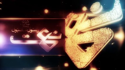 Wah Wah Wah Saley Aala Muhammad Ali Raza Noori 2015