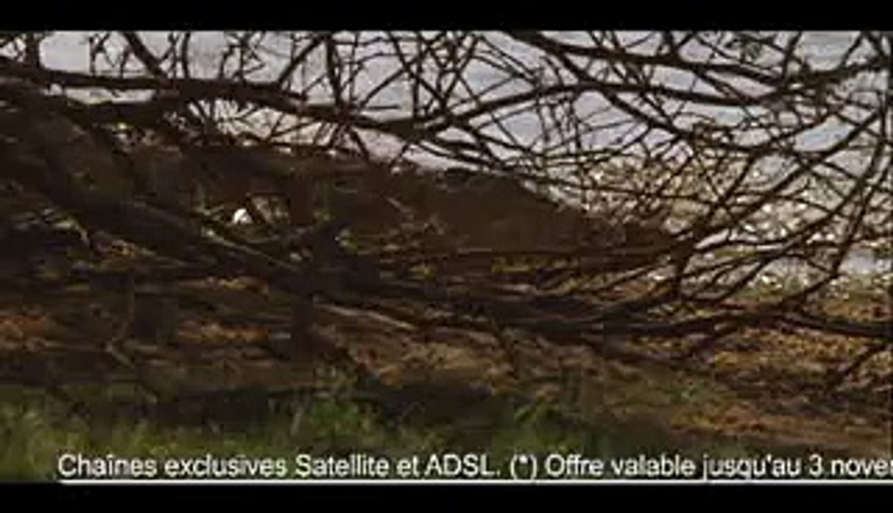 Canalsat - Experts du documentaire - Crocodile