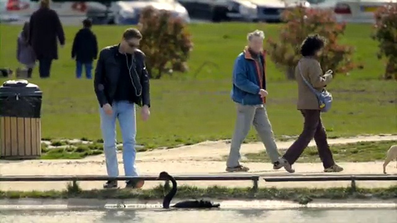 Canal + - chaîne de télévision, "Black Swan sur Canal +" - mai 2012