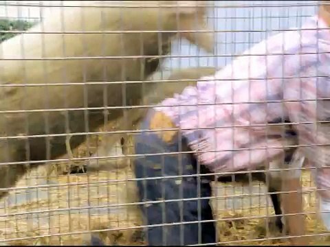 Canal + - chaîne de télévision, Platane, avec Eric Judor - août 2011 - version courte