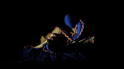 Benetton - vêtements et accessoires, "Lana Sutra" - septembre 2011 - Preview 1