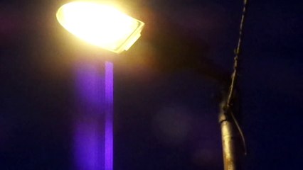 Cavasso Nuovo _2_ MAH00019