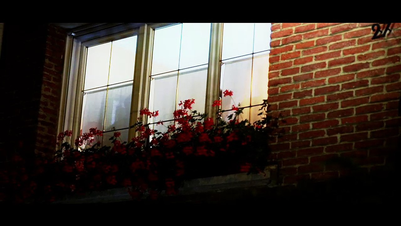 Claudine Colin Communication pour la ville d'Arras - collectivité locale, «Exposition Versailles à Arras» - septembre 2014 - «Fête»