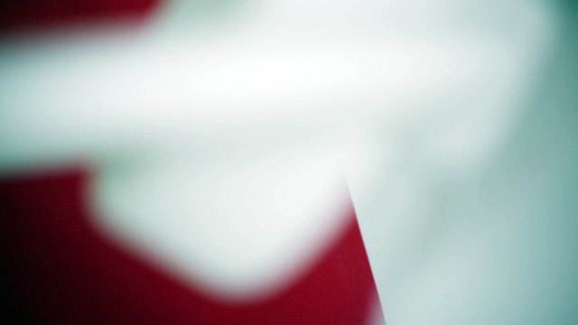 Bugaboo International BV - poussettes pour enfants, Bugaboo Donkey - avril 2011