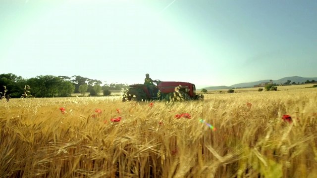 Business pour Optic 2000 - lunettes, «Collection Personnalités» - octobre 2014